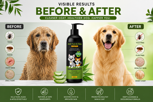 Anti-Tick & Flea Combo for Dogs & Cats